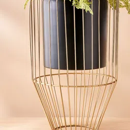 Home Centre Gloria Gold-Toned & Black Metal Wire Planter-image-36