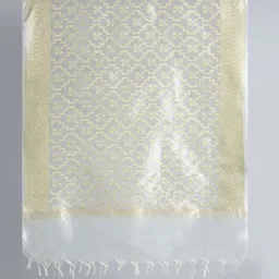 Dupatta Bazaar Woven Design Dupatta image 4