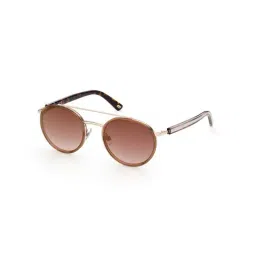 Web Eyewear Brown Round Unisex Sunglasses Designed in Italy-image-62
