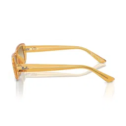 Ray-Ban Brown Rectangular Gradient Unisex Sunglasses image 5