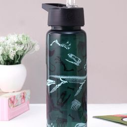 Smiggle Water Bottle With Fossil Print - 750 ml-picture-20