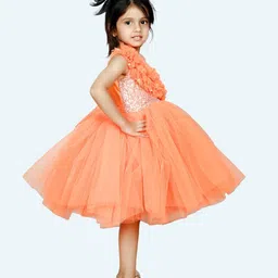 Modish Net Fit & Flare Dress image 2