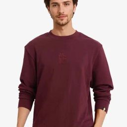 Rare Rabbit Maroon Regular Fit Embroidered Sweatshirt-picture-42