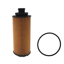 ZIP Car Oil Filter For Chevrolet Trailblazer, ZO-1169-picture-12