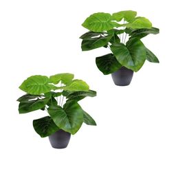 Go Hooked Pack Of 2 Green Artificial Monstera Plant with complimentary Black Nursery Pot-19