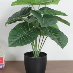 Arick Decor 1.8Ft Artificial Rubber Plants with Basic Black Pot | 12 Green Leaves Natural Looking Plant-12