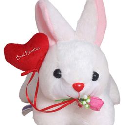 Tickles Rabbit Best Brother Heart Soft Stuffed Plush Animal Toy for Boys & Girls (Color: White Size: Length 26 cm)-image-38