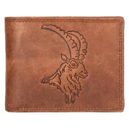 SASSORA Arlo Brown Formal Leather Bi-Fold Wallet for Men-image-23