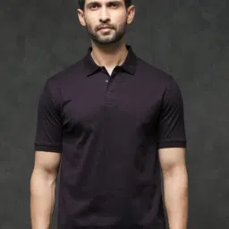 Rare Rabbit Purple Regular Fit Jacquard Polo T-Shirt-image-48