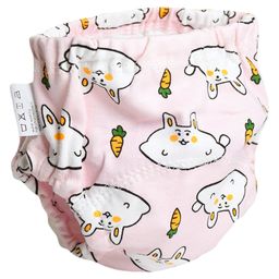 THE LITTLE LOOKERS Potty Training Pants for Babies I Reusable & Waterproof Pull up Underwear | Cloth Diaper for Babies-Pink (1 Year - 2 Years) (Pack of 1)-picture-5