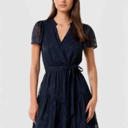 Forever New Blue Self Dress-picture-15