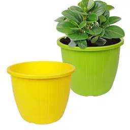 Kuber Industries Pack Of 2 Yellow & Green Planters-13