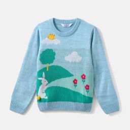 Nauti Nati Girls Blue Self Design Regular Fit Sweater-picture-41