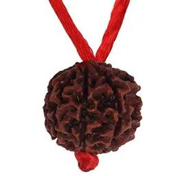 Divine Souvenirs Threaded Rudraksha Pendant-image-37