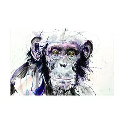 Inephos Grey & Pink 1 Piece Monkey Wildlife Birds and Animals Canvas Wall Art-23