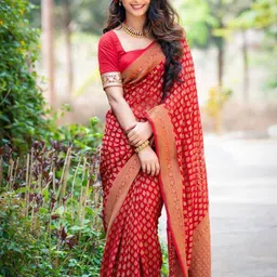 BerMondsey Woven Design Designer Banarasi Saree-image-14