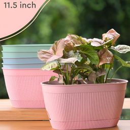 eha Set Of 6 Blue & Pink Textured PlantersPot-29