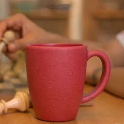 eha Coral Microwave Safe Coffee Mug 300ML-image-6