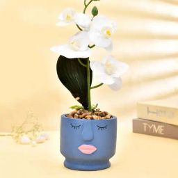Tayhaa Blue & White Ceramic Artistic Face Planter With Artificial Orchids-24
