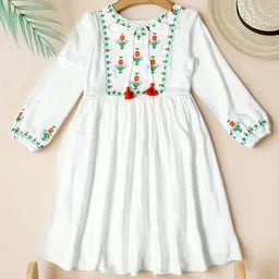 BAESD Floral Embroidered Puff Sleeve Fit & Flare Dress-37