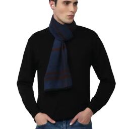 Van Heusen Blue Checks Muffler-53