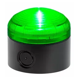 RS PRO Green Steady Beacon 12 V AC/DC & 24 V AC/DC Screw Mount LED Bulb IP66, 2222462-39