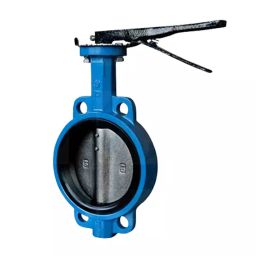 Ts Flow 5 Inch, 125 mm Stainless Steel 316 Lever Operated Centric Butterfly Valve-picture-22
