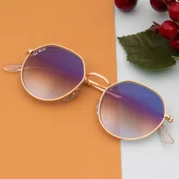 Ted Smith Blue Round UV Protection Unisex Sunglasses-picture-12