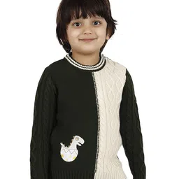 JoE Hazel Full Sleeves Baby Dinosaur & Cable Design Detailed Acrylic Pullover - Olive Green-picture-37