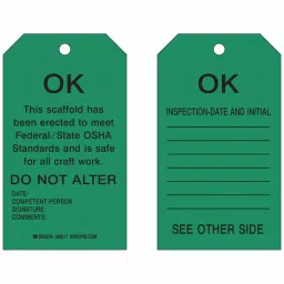 BRADY Inspection Received Tag 17.78 cm (7 Inch) Black & Green, 5EPA2 (Pack of 10)-picture-20