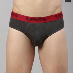 Levis Pack Of 2 Anti-Microbial Basic Briefs STYLE#066-image-68