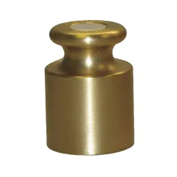 GENERIC 500 g Brass Calibration Weight-28