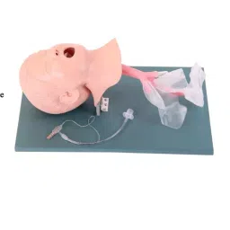 A-ONE SCIENCE Skin Color PVC Child Trachea Intubation Model AOSBM211-image-56