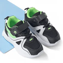 Cute Walk by Babyhug Velcro Closure Sneakers - Black-picture-25