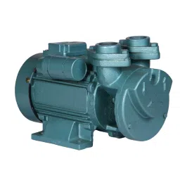 Dharani 1 HP Single Phase Self Priming Monoblock Pump, DMSVS 100-picture-16