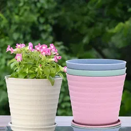 eha Off White & Pink 4 Pieces Planters With Buttom Trays-image-7