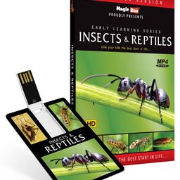 Inkmeo USB Memory Stick Pre School Learning Insects & Reptiles - English-11