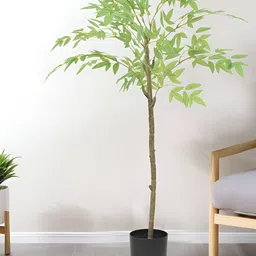 UMAI Green & Black Nandi Artificial Plant With Pot-22