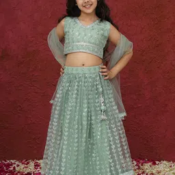 Aj DEZInES Girls Embellished Sequinned Ready to Wear Lehenga & Blouse With Dupatta-picture-51