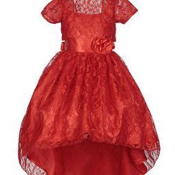 Wish little Lace A-Line Dress-14