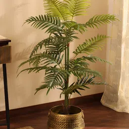 Elemntl Green 1 Pieces Palm With Pot-8