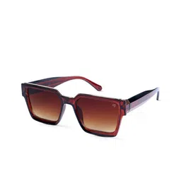 Woggles Unisex Brown Lens & Brown Wayfarer Sunglasses with-42
