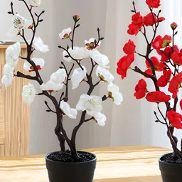 The Better Home Red 2 Pieces Core With Pot-36