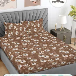 FABINALIV Brown & White Floral Printed 300 TC Cotton King Bedsheet 2.50 m x 2.25 m-59