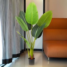 The Better Home Multicoloured 1 Pieces Artificial Plant-4