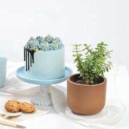 Sweet Prosperity Gift Combo-picture-24