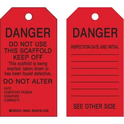 BRADY Inspection Received Tag 5 3/4 inch Black & Red, 5ENZ4 (Pack of 10)-7