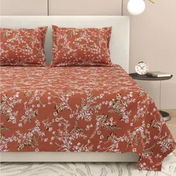 DREAM WEAVERZ Brown & White Floral Pure Cotton 220 TC King Bedsheet Set-2.75 m x 2.55 m-image-58