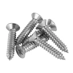 B K JAGAN & CO Size 6x19 mm CSK Philip S.S Sheet Metal Screw Silver (Pack of 200)-7