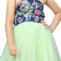 BAESD Print Net Fit & Flare Dress image 2